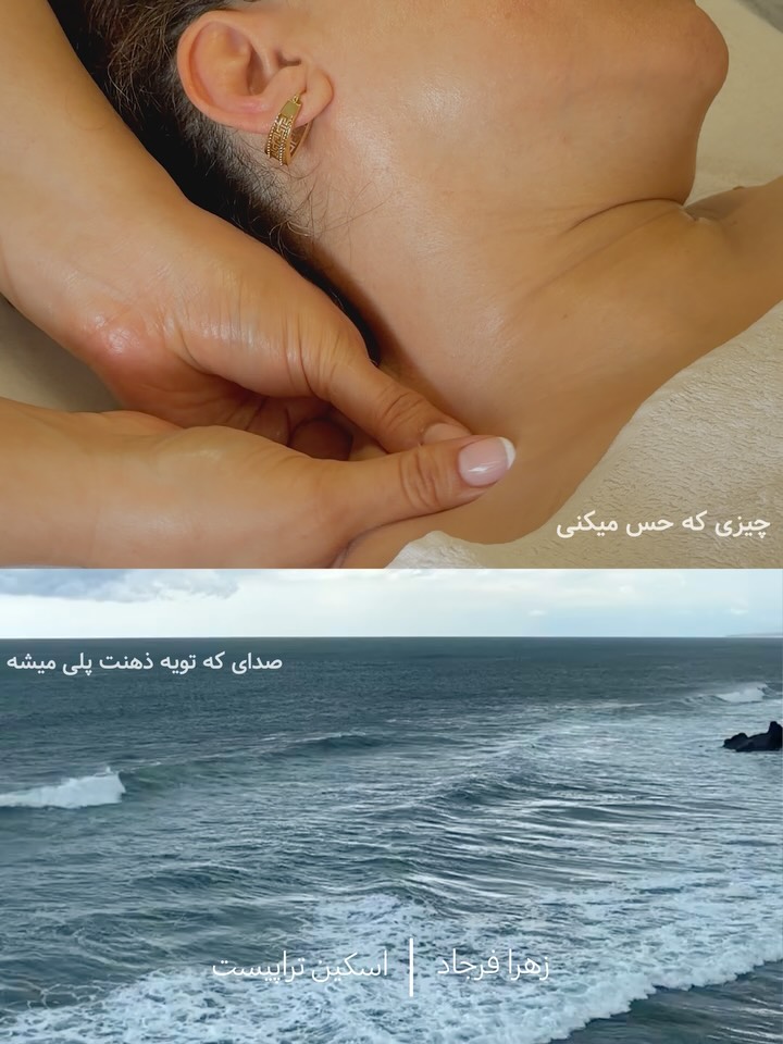 گالری تصاویر 6